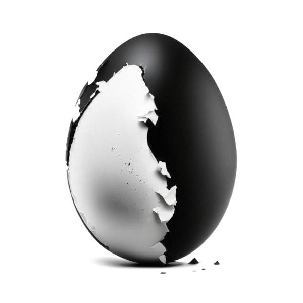 Чёрно-белое 3D яйцо